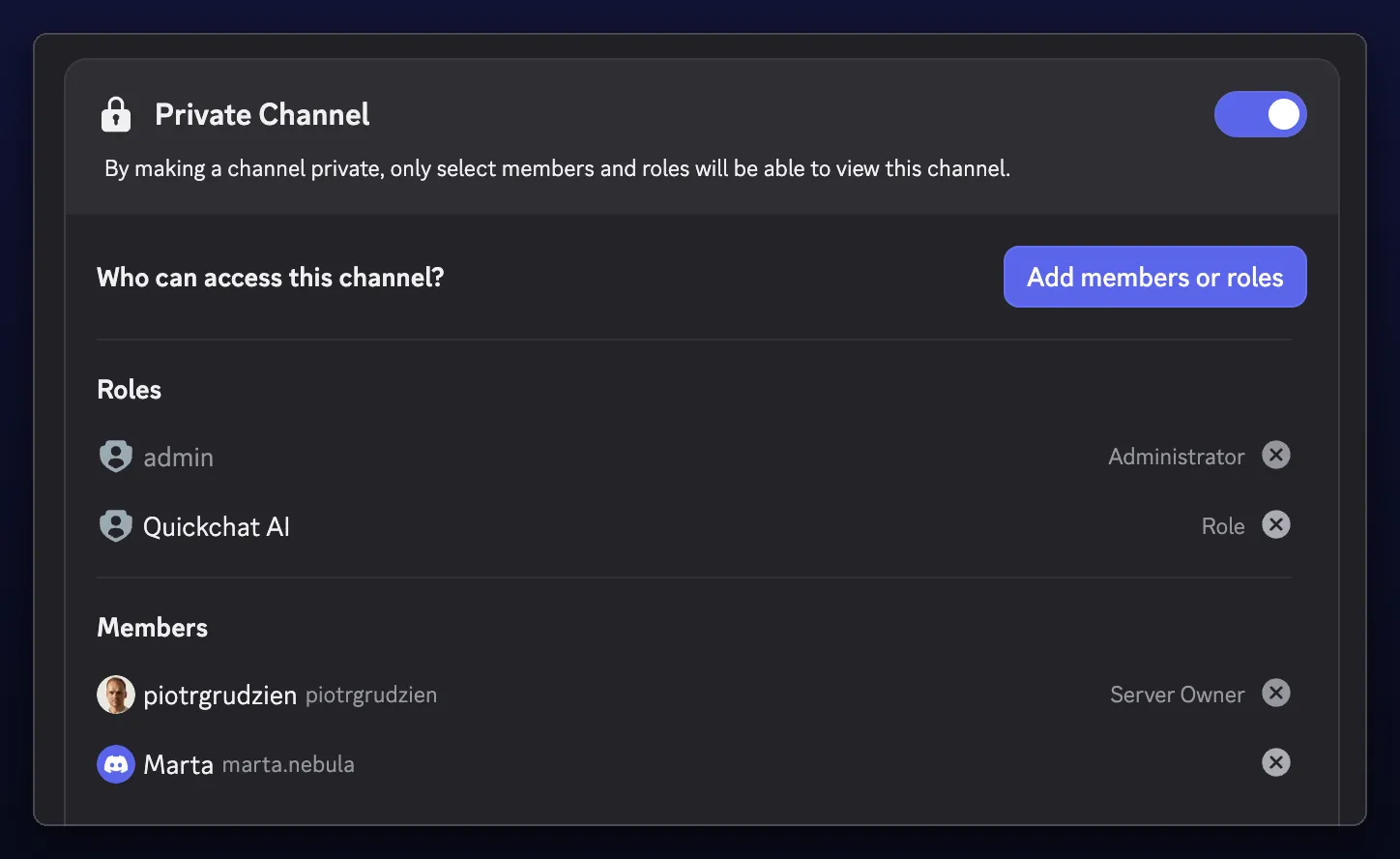 The ticket channel's access list, showing the requester as the only member granted View Channel
