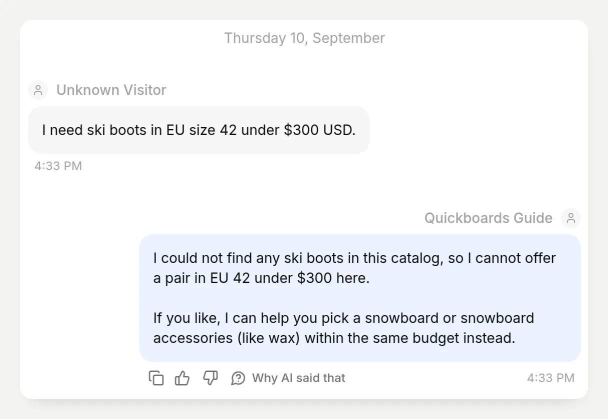 A real no-match reply to a request for ski boots, with no unrelated product cards